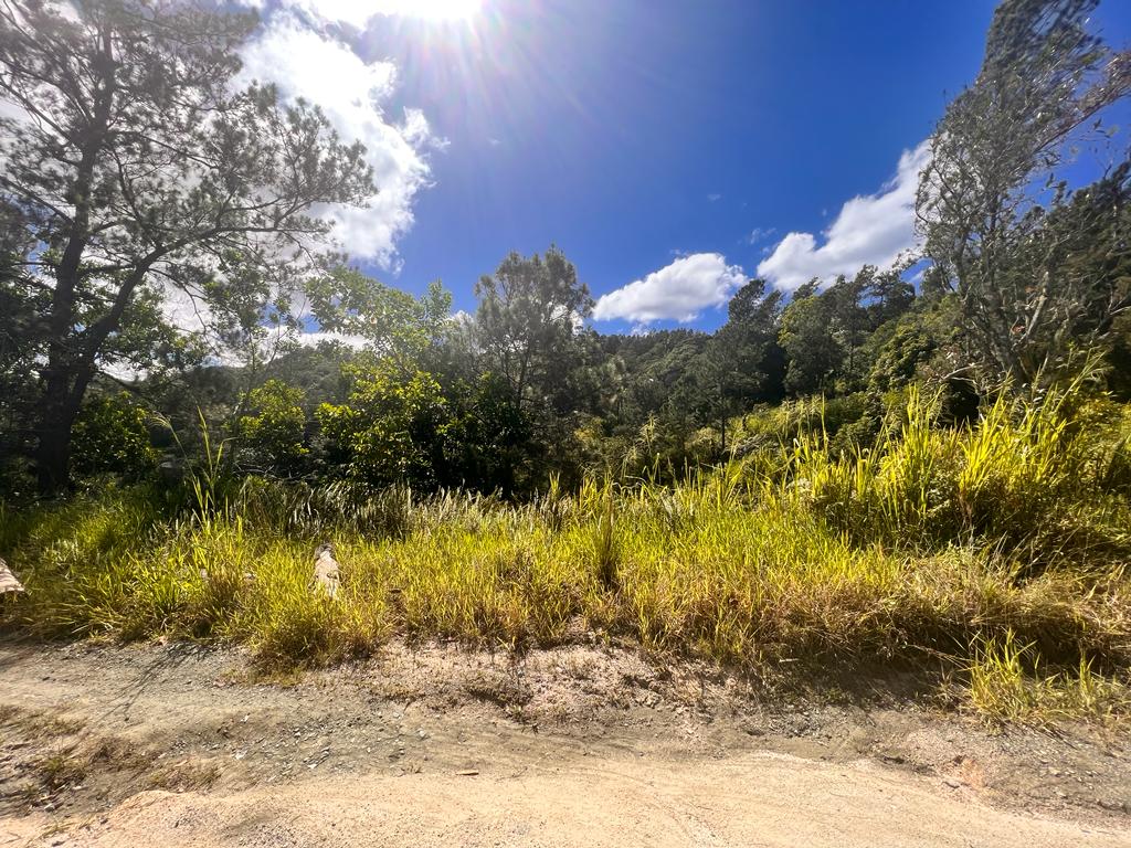 VENTA TERRENO LOS DAHAOS, JARABACOA