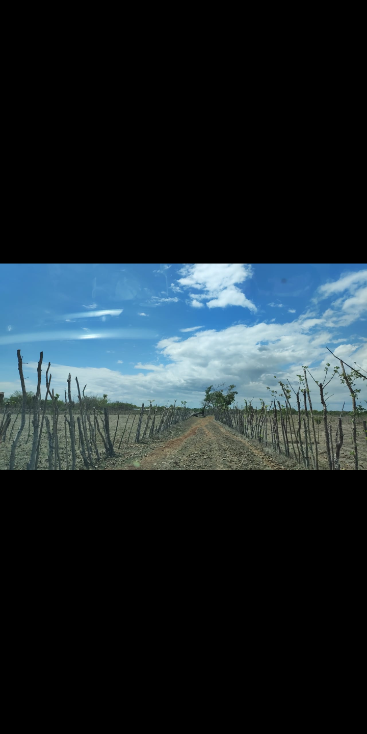 Vendemos finca