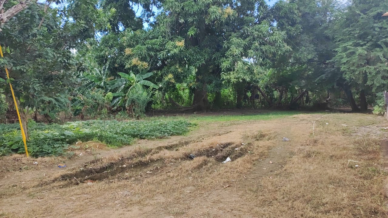 Venta solar en Los Robalos, Samana, Republica Dominicana