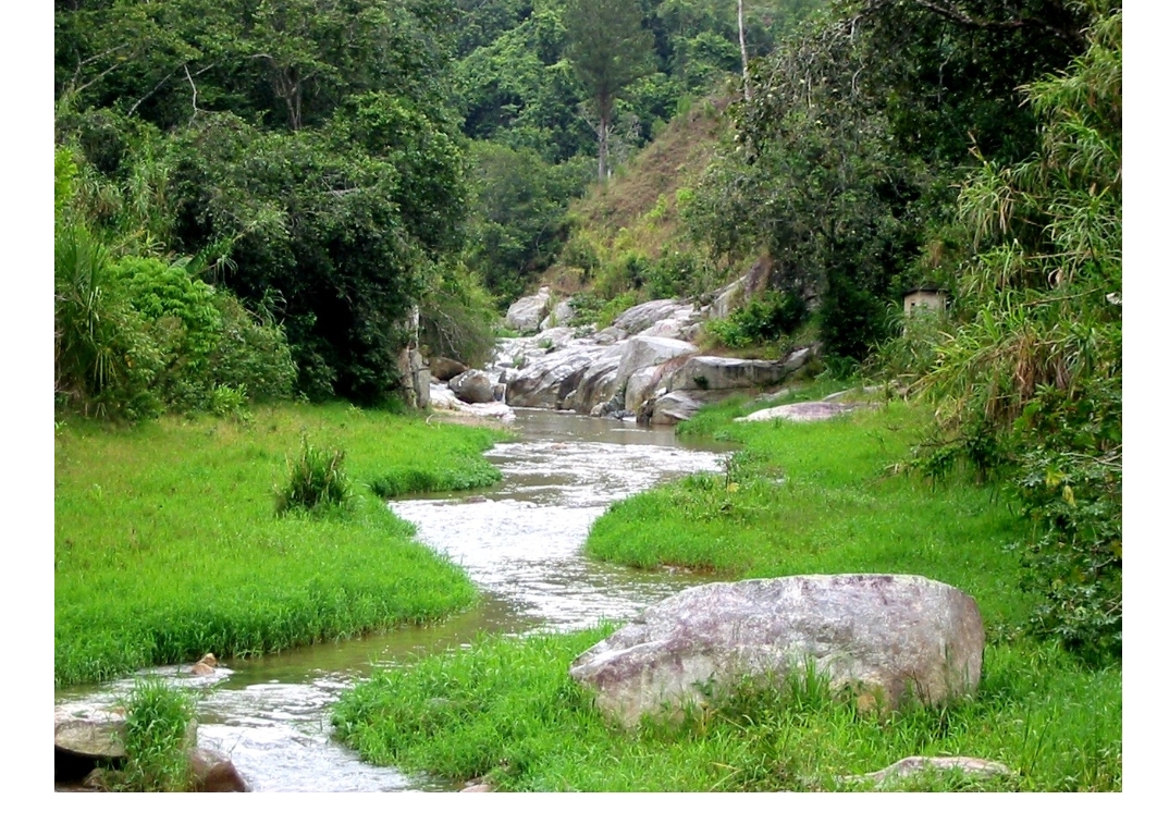 Terreno en venta en Jarabacoa con rio y plantado de frutos