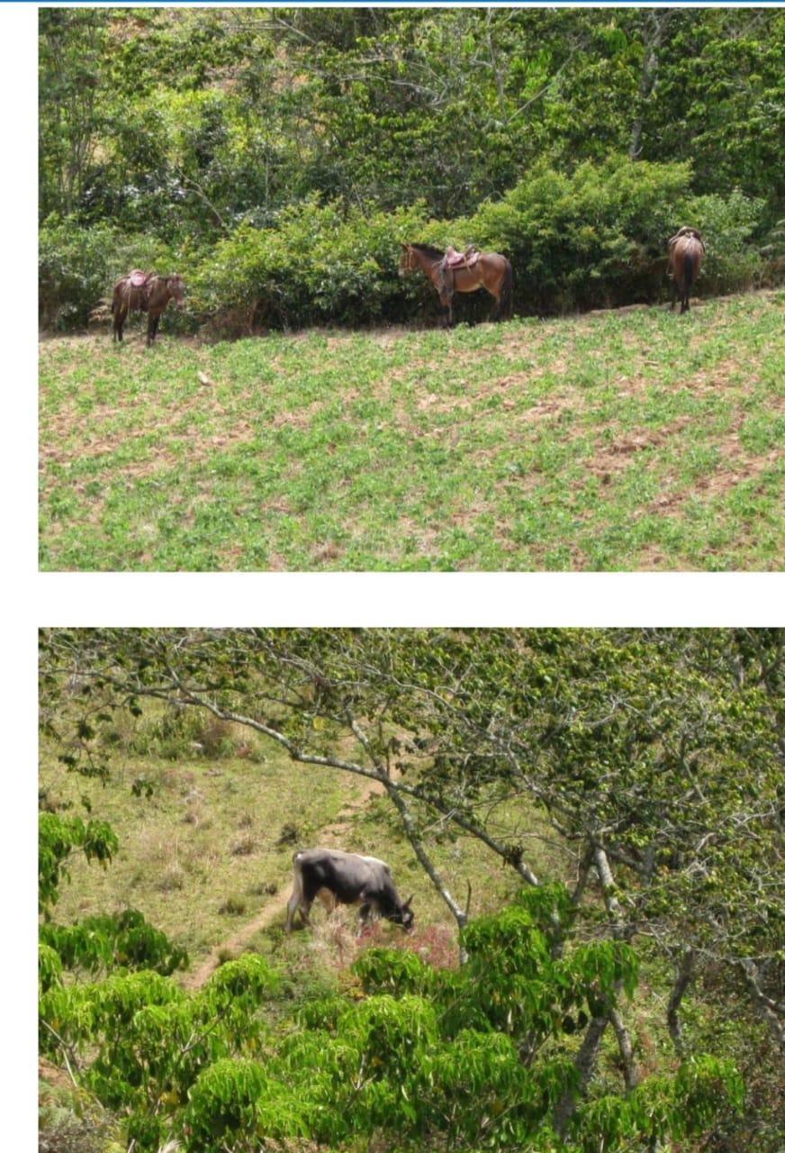 Venta terreno en Jarabacoa, Republica Dominicana