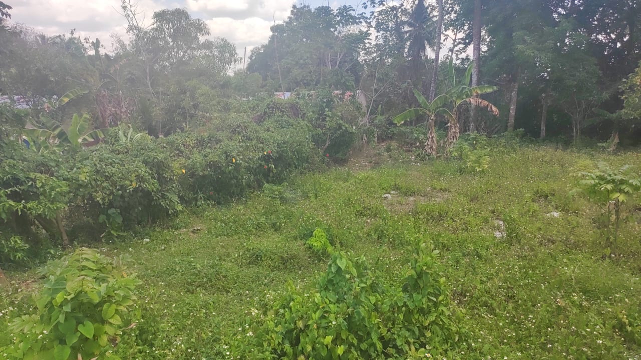 Venta Solar en Luisa La Prieta, Monte Plata, Republica Dominicana