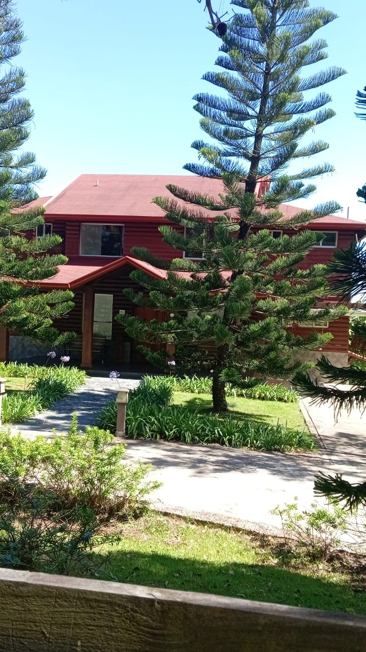 🌲CASA JARABACOA🌲